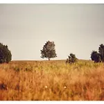 Alojamento de Turismo Rural Siedlisko *