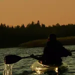 Siedlisko