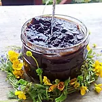 Feriegård Siedlisko *