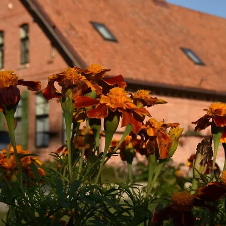 Siedlisko Agroturismo