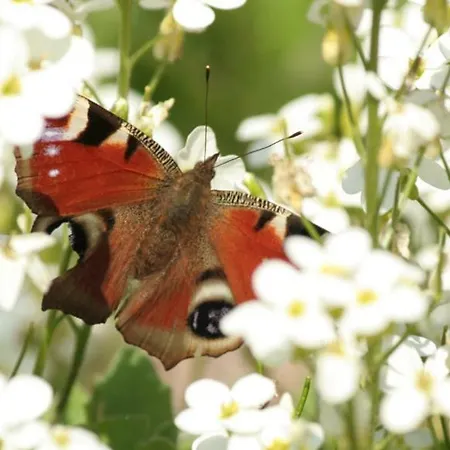 ファームステイ Siedlisko *