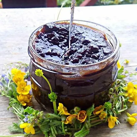 ファームステイ Siedlisko *