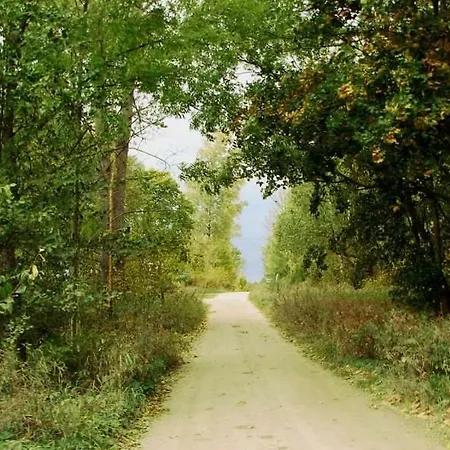 Siedlisko Szwałk Szwalk