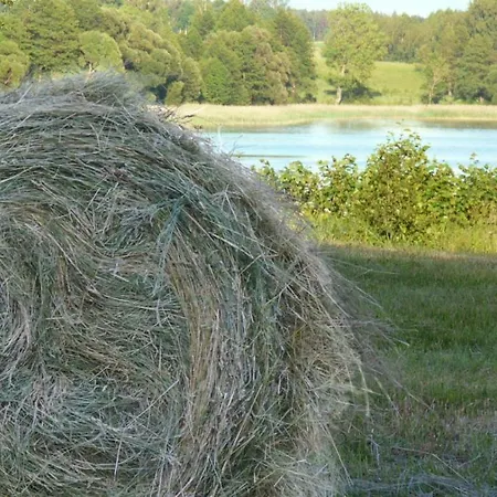 Siedlisko Szwałk