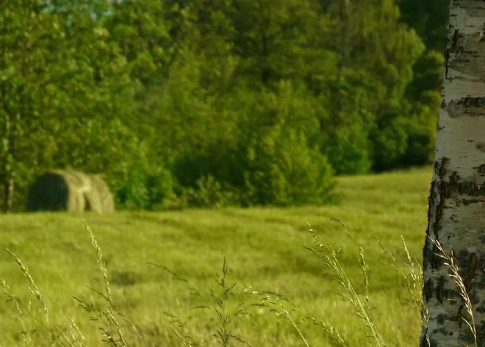 Siedlisko Agroturismo *