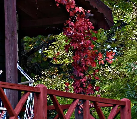 Siedlisko Agroturismo *